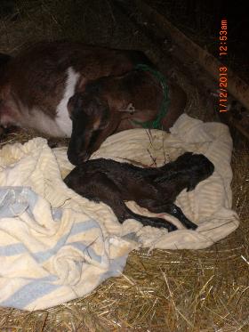 mother and kid